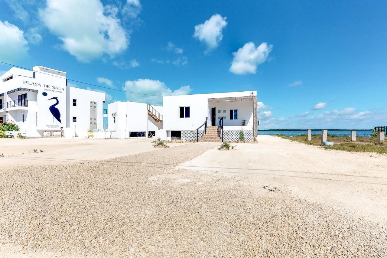 Jackson'S Paradiso Gold Standard Certified San Pedro  Exteriér fotografie